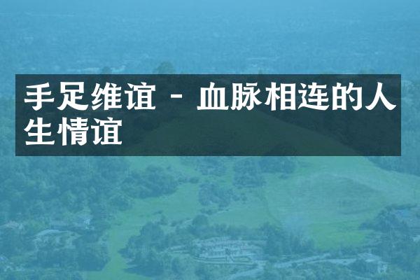 手足维谊 - 血脉相连的人生情谊