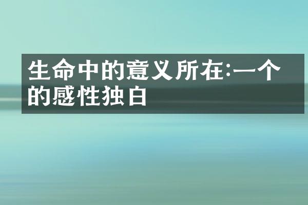 生命中的意义所在:一个人的感性独白