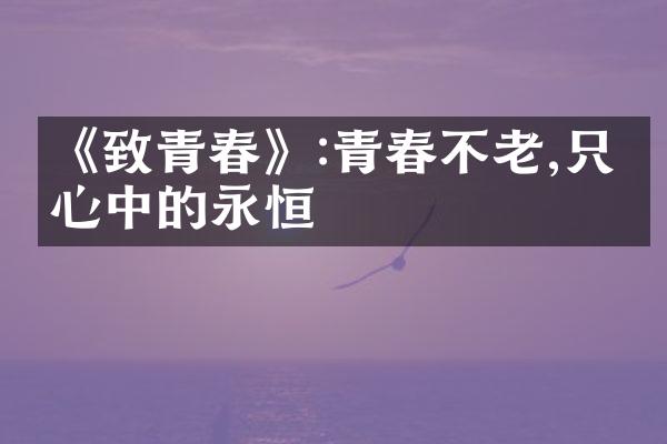 《致青春》:青春不老,只是心中的永恒