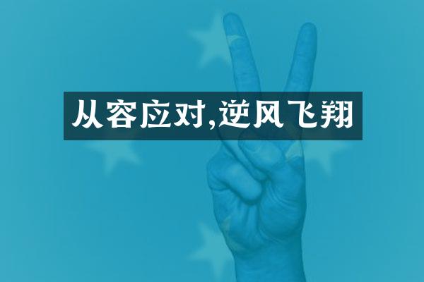 从容应对,逆风飞翔