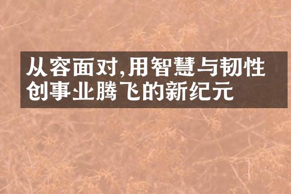 从容面对,用智慧与韧性开创事业腾飞的新纪元