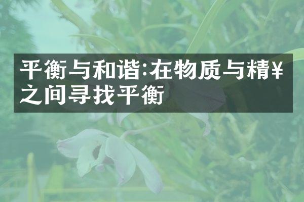 平衡与和谐:在物质与精神之间寻找平衡