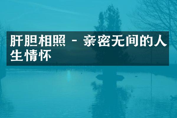 肝胆相照 - 亲密无间的人生情怀