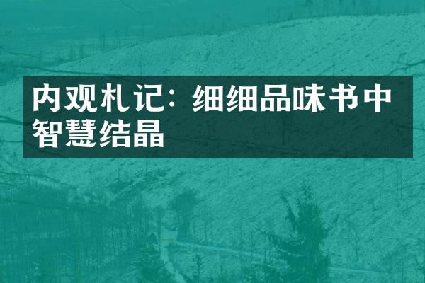 内观札记: 细细品味书中的智慧结晶
