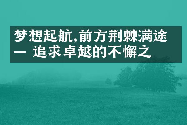 梦想起航,前方荆棘满途 —— 追求卓越的不懈之旅