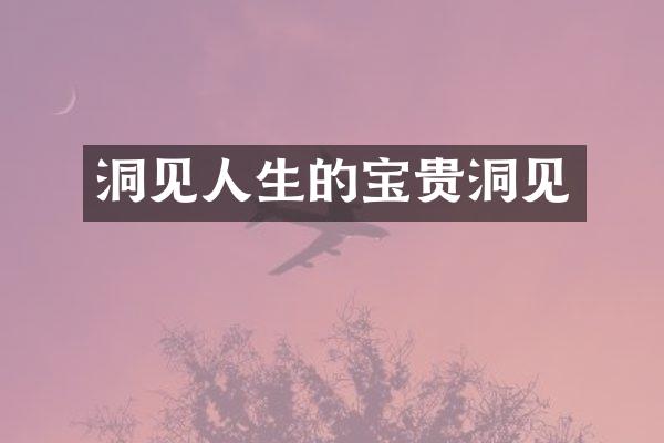 洞见人生的宝贵洞见