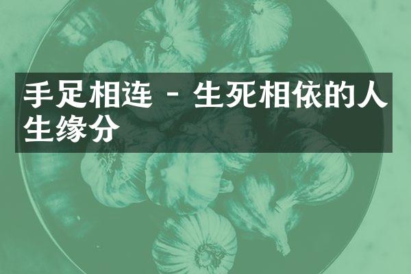 手足相连 - 生死相依的人生缘分