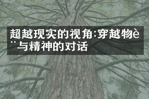 超越现实的视角:穿越物质与精神的对话