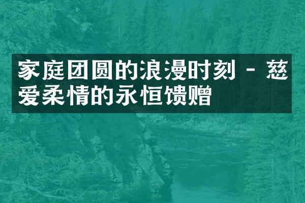 家庭团圆的浪漫时刻 - 慈爱柔情的永恒馈赠