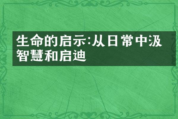 生命的启示:从日常中汲取智慧和启迪