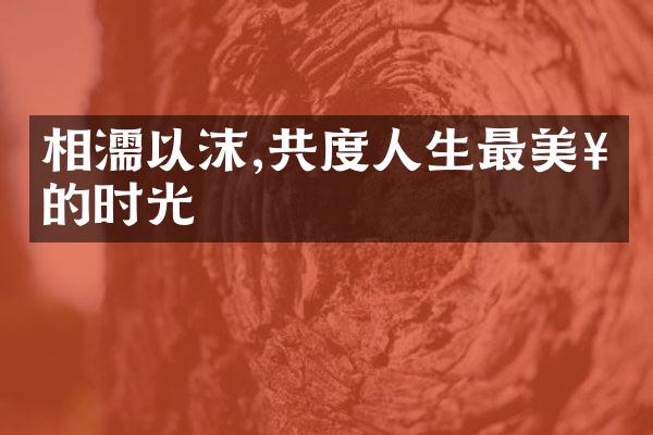 相濡以沫,共度人生最美好的时光