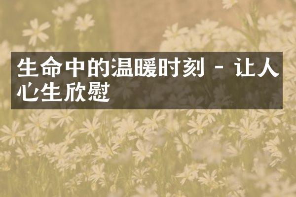 生命中的温暖时刻 - 让人心生欣慰
