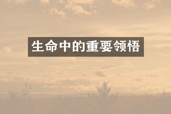 生命中的重要领悟