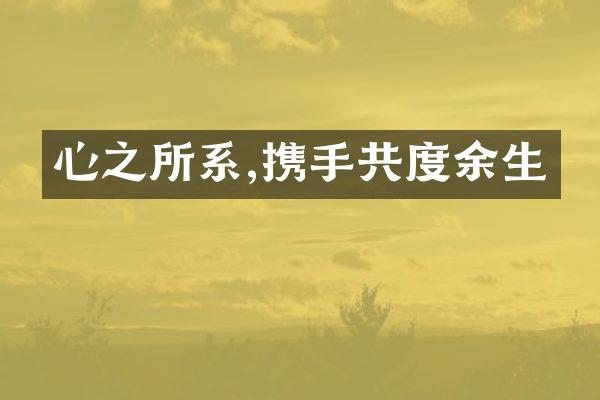 心之所系,携手共度余生