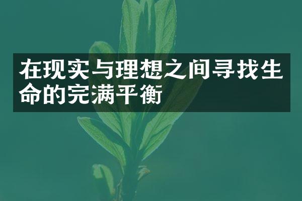 在现实与理想之间寻找生命的完满平衡