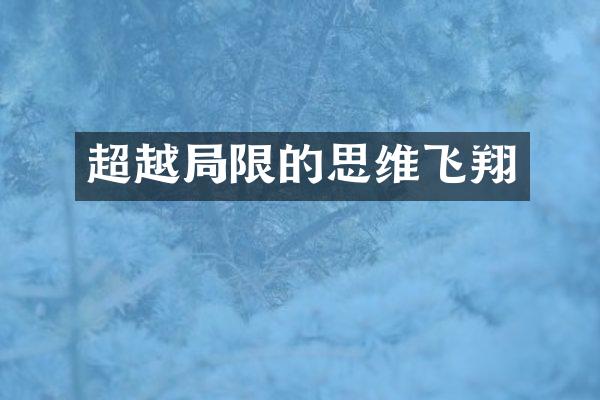 超越限的思维飞翔