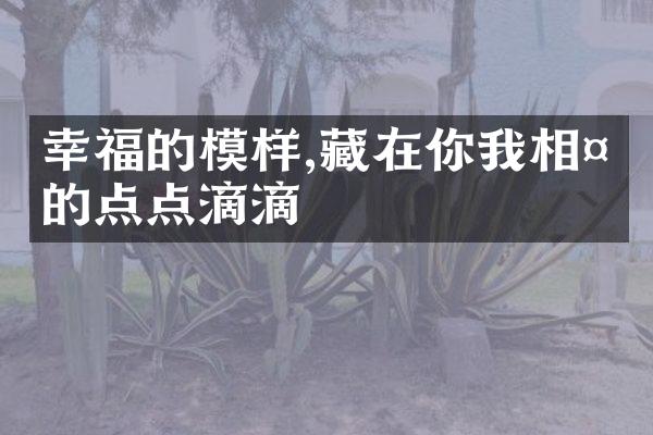幸福的模样,藏在你我相处的点点滴滴
