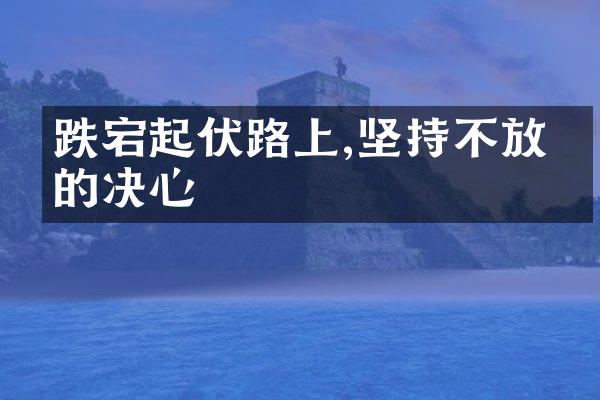 跌宕起伏路上,坚持不放弃的决心