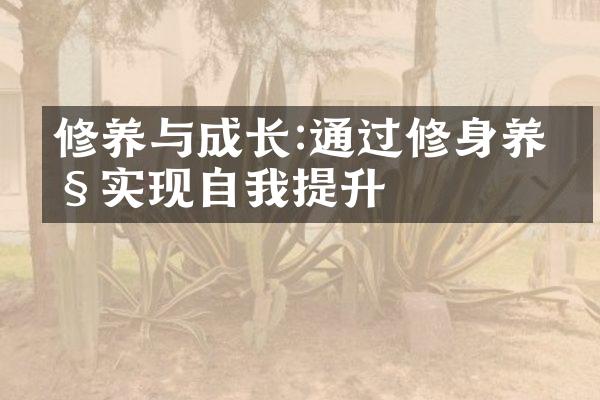 修养与成长:通过修身养性实现自我提升