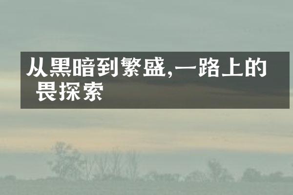 从黑暗到繁盛,上的无畏探索