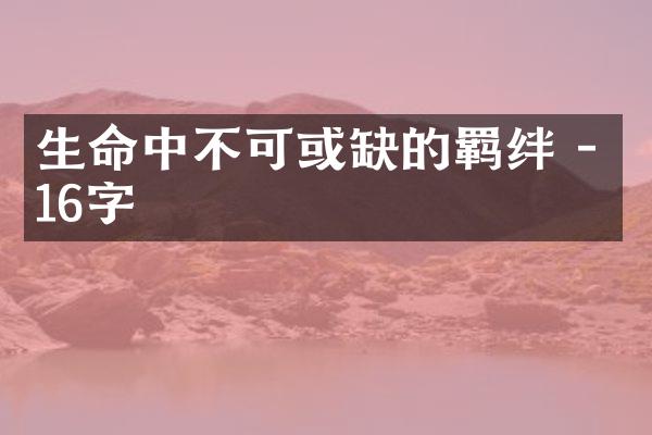 生命中不可或缺的羁绊 - 16字