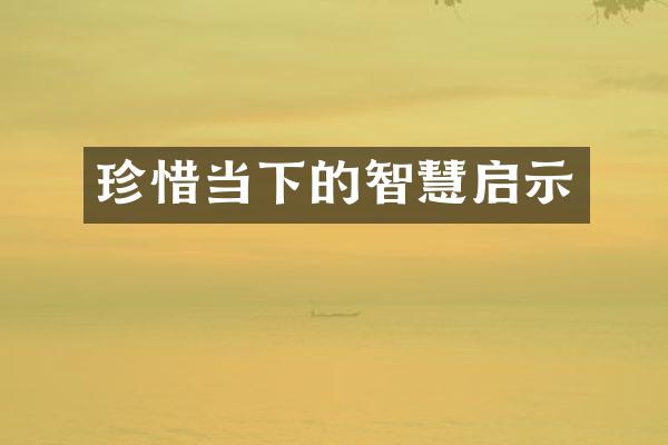 珍惜当下的智慧启示