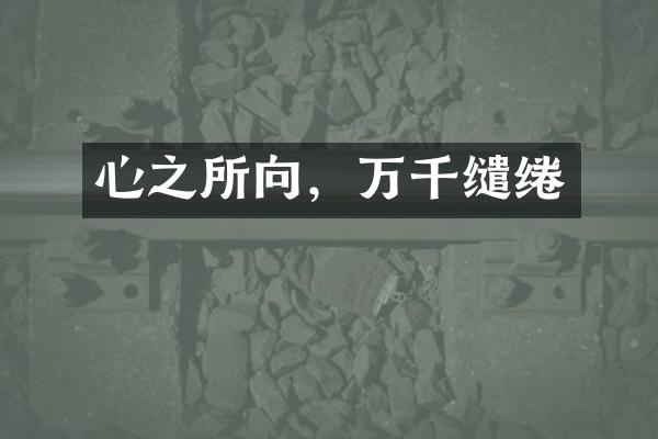 心之所向，万千缱绻