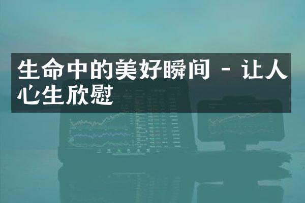生命中的美好瞬间 - 让人心生欣慰