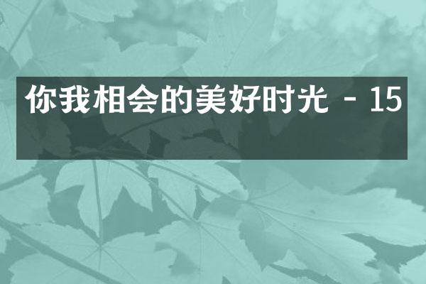 你我相会的美好时光 - 15字