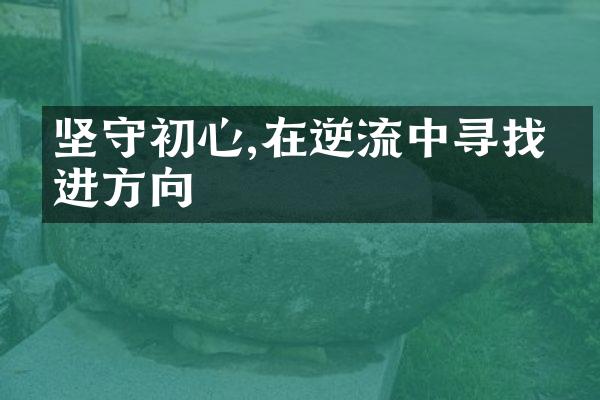 坚守初心,在逆流中寻找前进方向