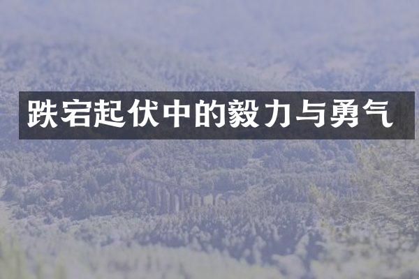 跌宕起伏中的毅力与勇气