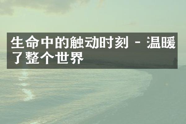 生命中的触动时刻 - 温暖了整个世界