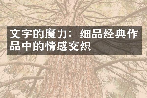 文字的魔力：细品经典作品中的情感交织