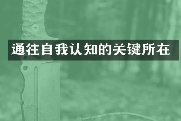 通往自我认知的关键所在