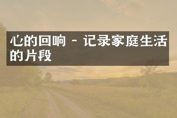 心的回响 - 记录家庭生活的片段