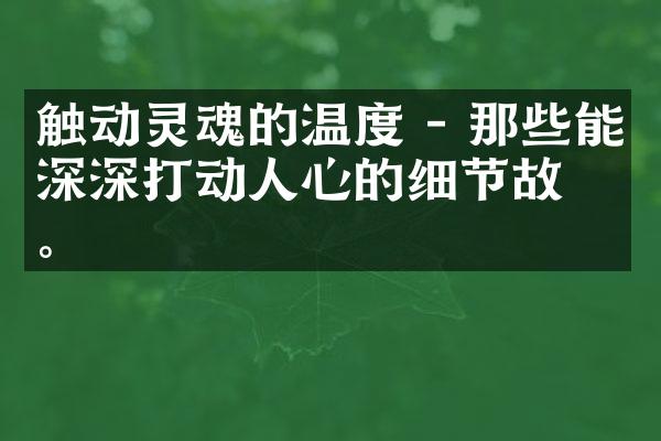 触动灵魂的温度 - 那些能深深打动人心的细节故事。