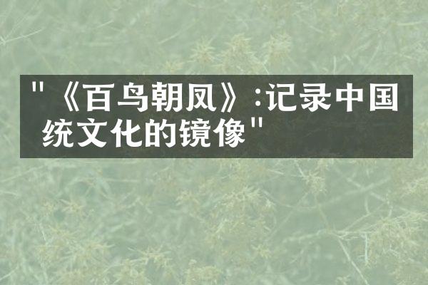 "《百鸟朝凤》:记录传统文化的镜像"