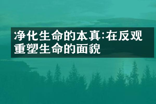 净化生命的本真:在反观中重塑生命的面貌