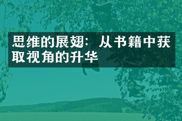 思维的展翅：从书籍中获取视角的升华