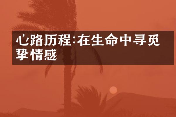 心路:在生命中寻觅真挚情感
