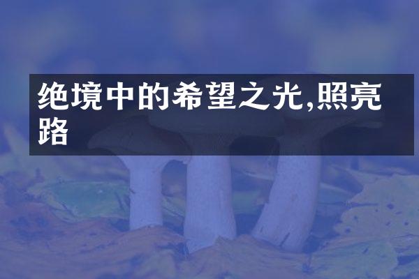 绝境中的希望之光,照亮前路