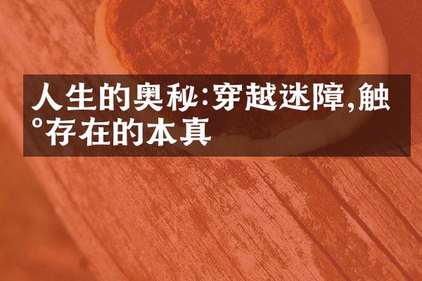 人生的奥秘:穿越迷障,触碰存在的本真