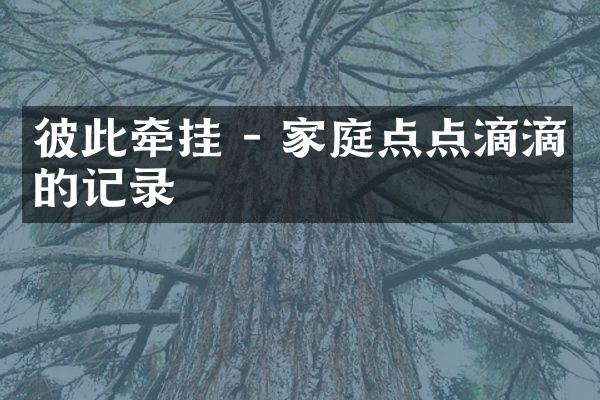 彼此牵挂 - 家庭点点滴滴的记录