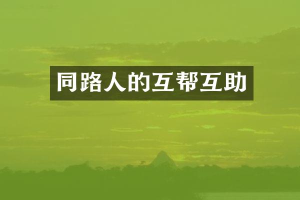 同路人的互帮互助
