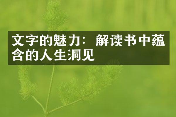 文字的魅力：解读书中蕴含的人生洞见