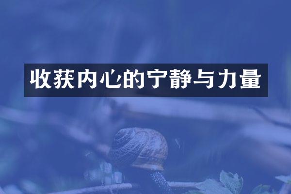 收获内心的宁静与力量