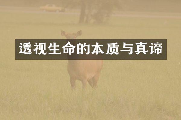 透视生命的本质与真谛