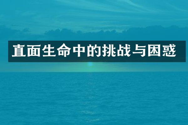 直面生命中的挑战与困惑