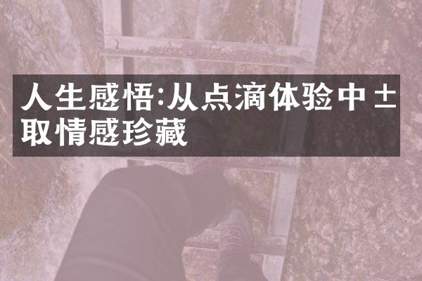 人生感悟:从点滴体验中汲取情感珍藏