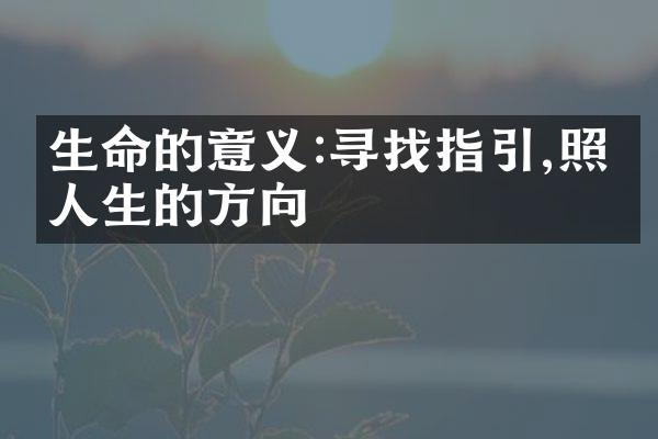 生命的意义:寻找指引,照亮人生的方向